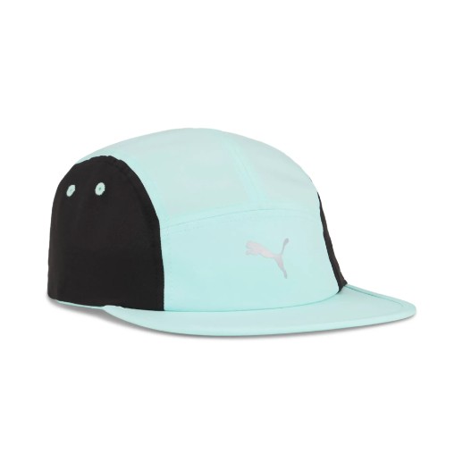 ESS RUNNING 5 PANEL